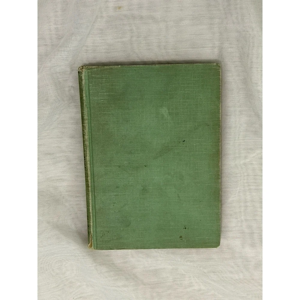 Silver Pennies 1928 Book Fairycore